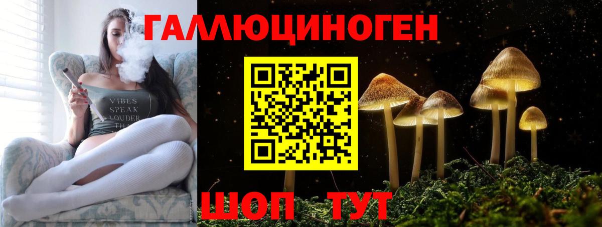 Галлюциногенные грибы Cubensis  Вход с VPN  Галлюциногенные грибы прущие грибы  даркнет сайт  Гуково 