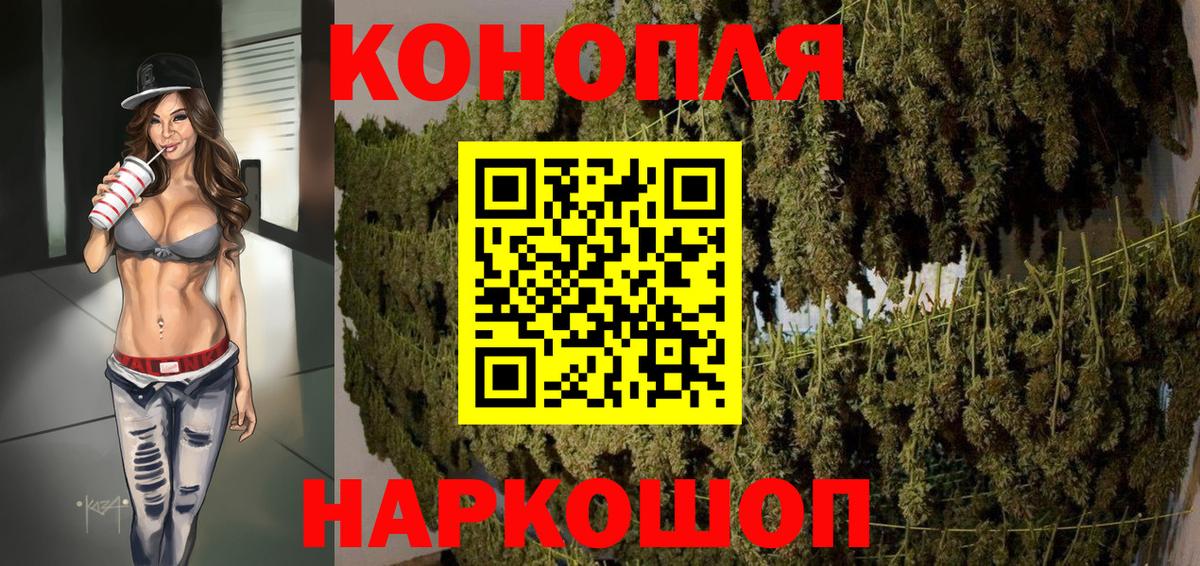 Канабис OG Kush Гуково
